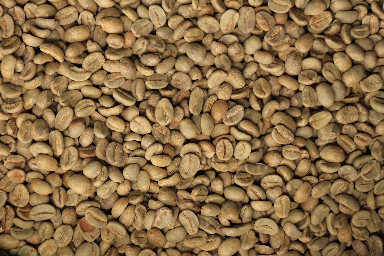 Close-up of graded green coffee beans