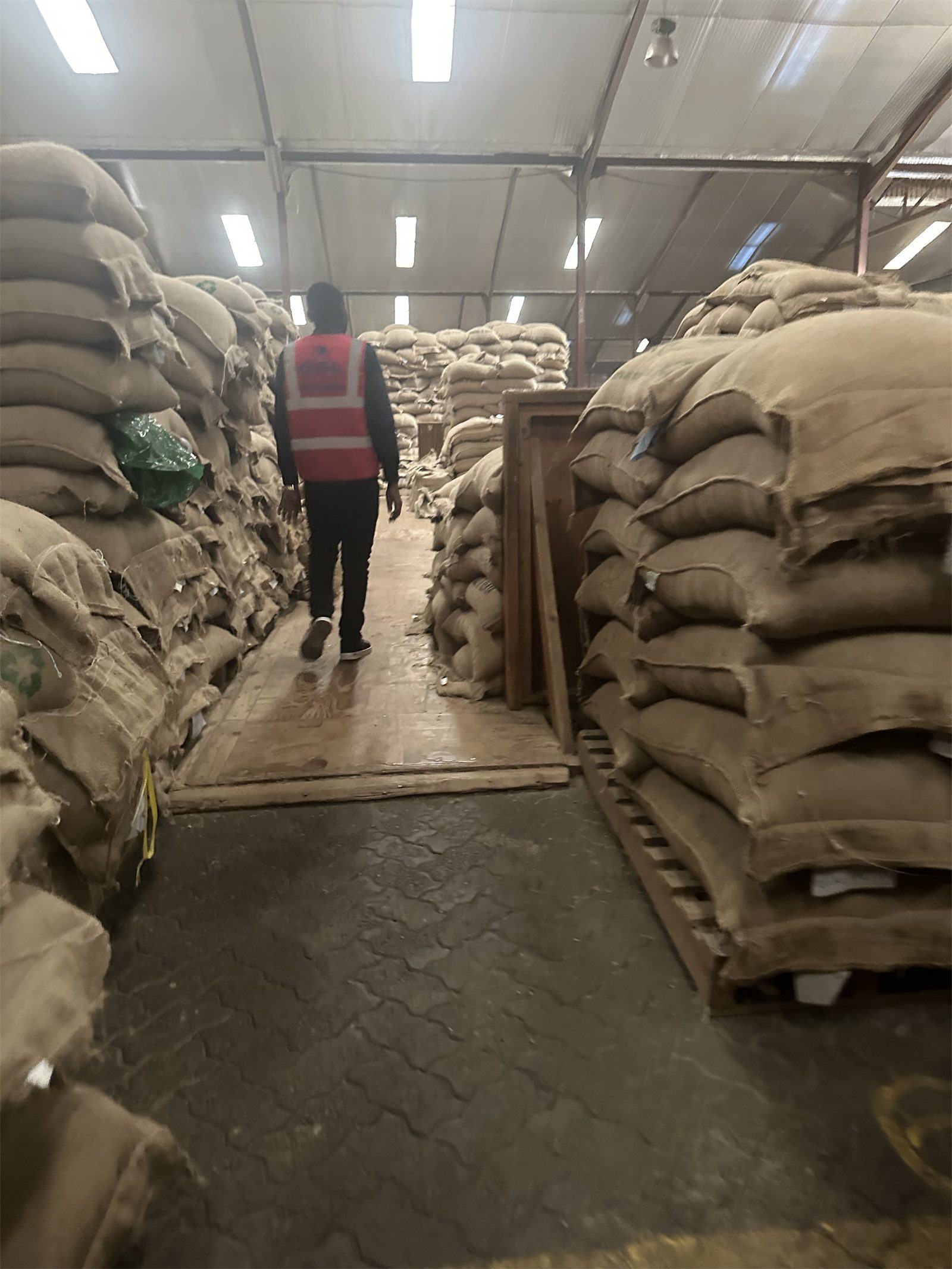A founder walking between tall stacks of jute coffee bags in an export warehouse