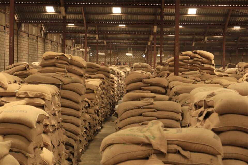 Rows of 60 kg jute coffee bags stacked in an export warehouse