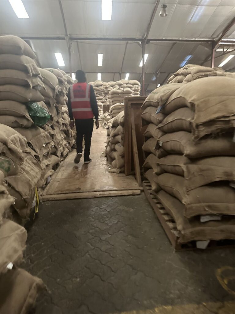 A Mambo Leo founder walking between stacks of jute coffee bags