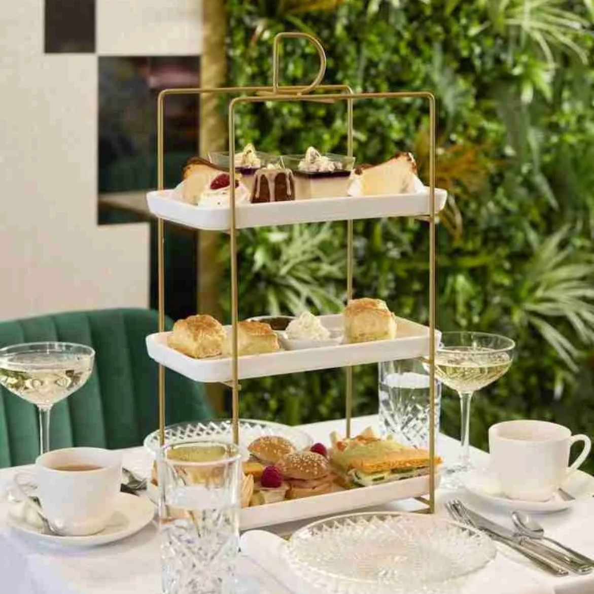 Untitled design (81)